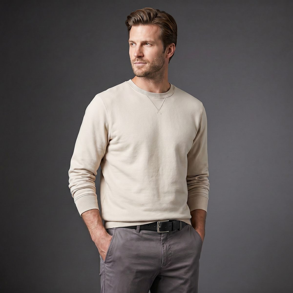 Sweatshirt, Beige, Kragenloser Rundhals?, Langarm, Casual, HECHTER Paris Herren Casual Echtledergürtel schwarz