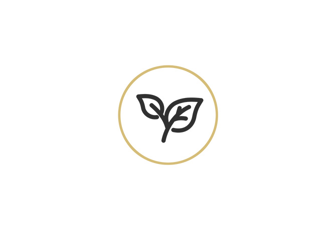 icon-pflanze icon-pflanze